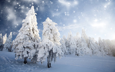 Fantastic winter landscape