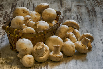 3. Pieczarka - Champignon