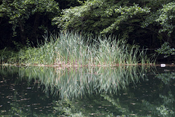 Lago di Isola Santa (Lucca)