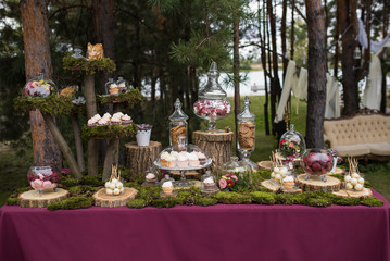 Wedding cakes desserts and sweets in the candy bar. Sweets at th