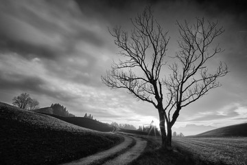 Licht am Ende des Wegs