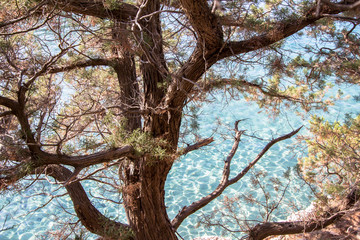 Obraz premium Beautiful rocky beach on Sardinia, Italy