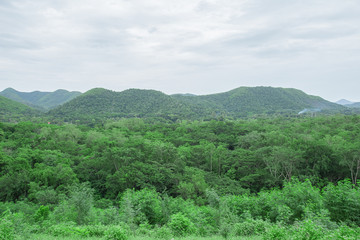 Fototapeta na wymiar mountain forest landscape , in Thailand