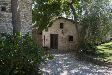 Uliveto in un agriturismo in Abruzzo