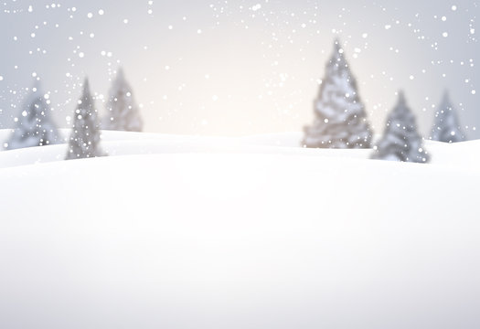 Winter background with fir trees.