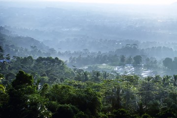 Fototapeta premium Views of the forest and farms from a high place, with the morning sun shining beautifully