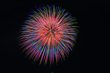 Colorful firework