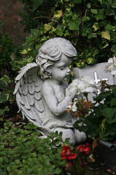 Little angel praying
