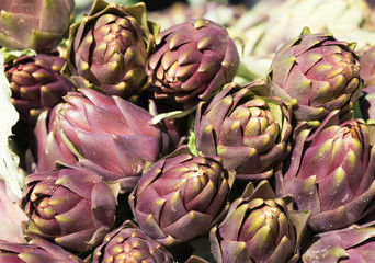 Artichoke plants