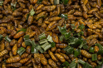 Grub larvae fried, in the night market.