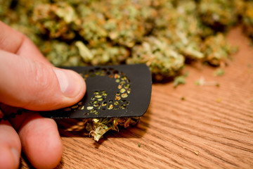 marijuana is sprinkled on the table