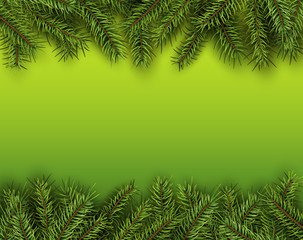 Christmas background with green fir tree