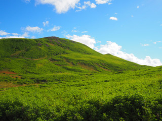 Fototapeta na wymiar Green hill and blue sky