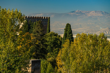 Autumn colors in Alhambra museum gardens