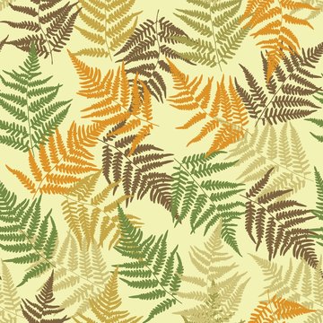 Ferns. Seamless pattern of fern leaves. Vector.