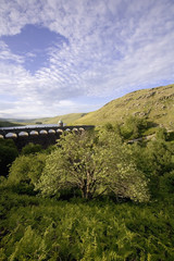 Fototapeta na wymiar reservoir elan valley wales