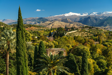 Mediterranean landscape and snowy mountains in the background 