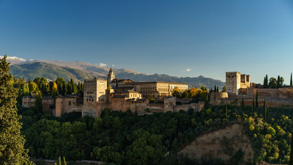 Fototapeta na wymiar Alhamrbra palace 