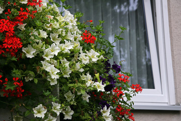 Fototapeta na wymiar Flowers bouquet at the windows