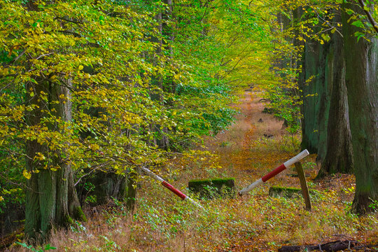 Herbststimmung
