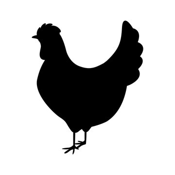 silhouette monochrome color with chicken vector illustration