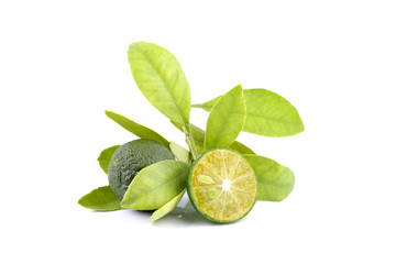 Group of green calamondin and leaf used instead of lemon isolated on white background