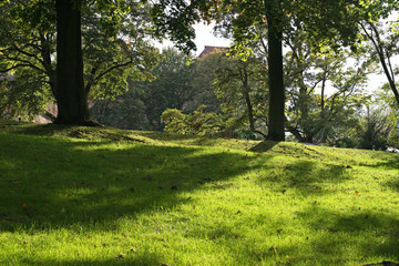 Springtime sunny grass landcape