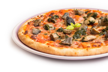 Pizza ai funghi
