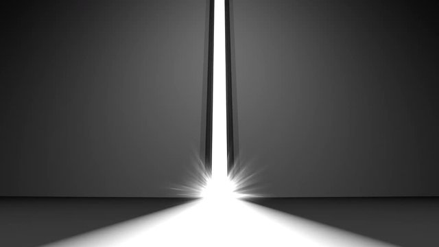 The huge gates opened and a bright light fills us