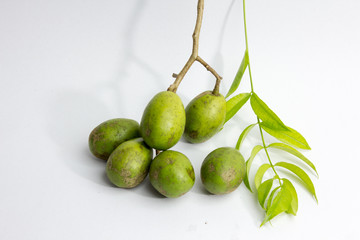 fresh hog plum growing on a tree,Otaheite apple rings.