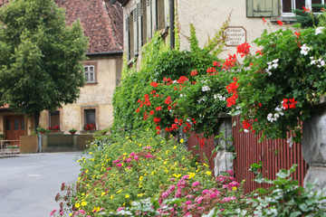 Fototapeta na wymiar House with flowered fence