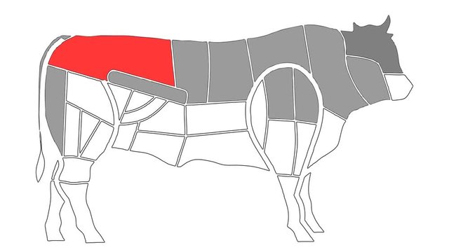 Diagrams Of Cow Body Anatomy for Cuisine Purposes in Alpha Channel