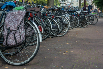 Rows of Bicycle Tires