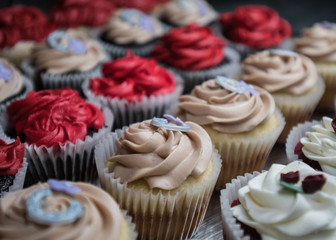 Rows of Cupcakes