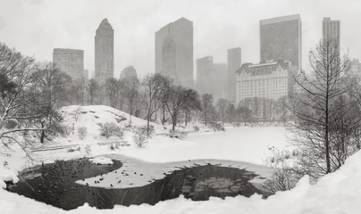 Zelfklevend Fotobehang New York Frozen pond and heavy snowfall in Central Park with a panoramic view of Manhattan skyscrapers. Winter scene in New York City (Black & White)