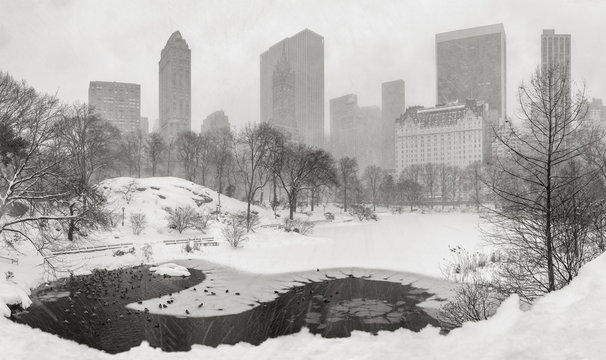 Fototapeta Frozen pond and heavy snowfall in Central Park with a panoramic view of Manhattan skyscrapers. Winter scene in New York City (Black & White)