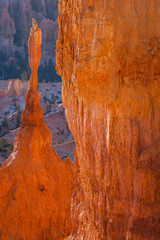 The Sentinel Hoodoo - Bryce Canyon National Park