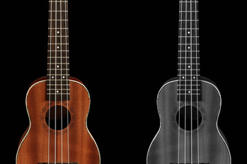 Plakat The brown ukulele, clipping path