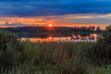 Red sunset over the lake and forest, summer evening