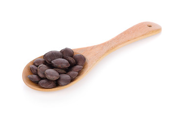 roasted sacha inchi seeds
