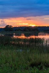 Fototapeta na wymiar The sun sets behind the forest on a dark lake, summer evening, vertical frame