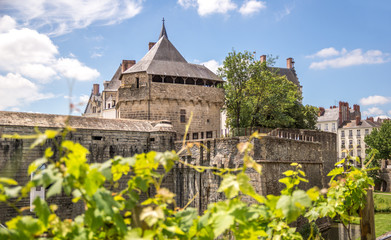 Tour du vieux Donjon, Nantes