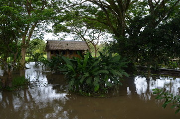 Houses on Amazon River