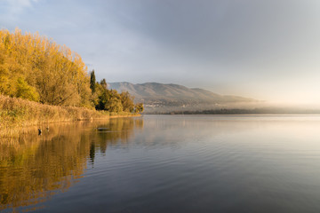 Lake Varese from Biandronno, province of Varese, Italy in an autumn morning with mist. To the left, a dense bed of reeds, in the background the Campo dei Fiori of Varese