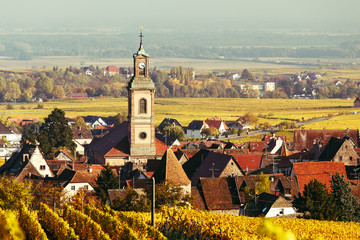 Picturesque autumn landscape with yellow vineyards and historic village of Riquewihr, Alsace, France. Famous place making part of the vine routes.