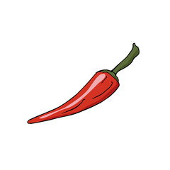 red chili pepper vector icon