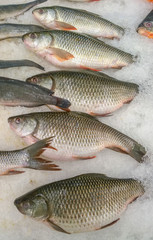 Fish in the market