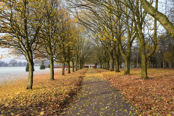 Fototapeta premium Autumn walk