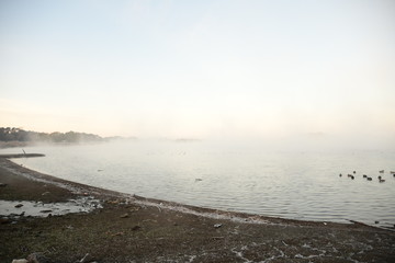 Obraz premium Morning Haze on the Swamp in Japan.