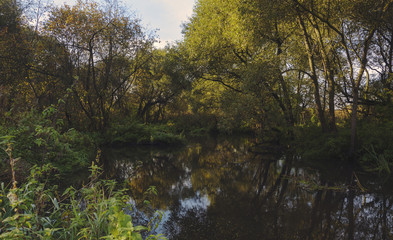 Fototapeta na wymiar Landscape with river.Quiet corner.